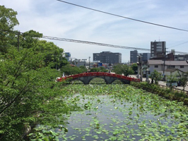 ひとよし法律事務所